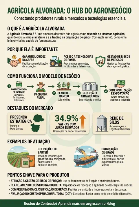 Infográfico educativo sobre Agricola Alvorada