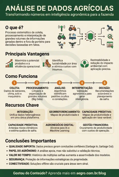 Infográfico educativo sobre Análise De Dados Agrícolas