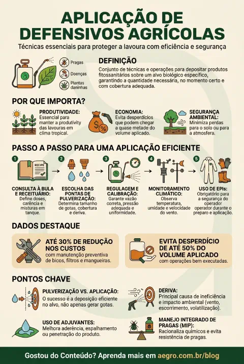 Infográfico educativo sobre Aplicação De Defensivos Agrícolas