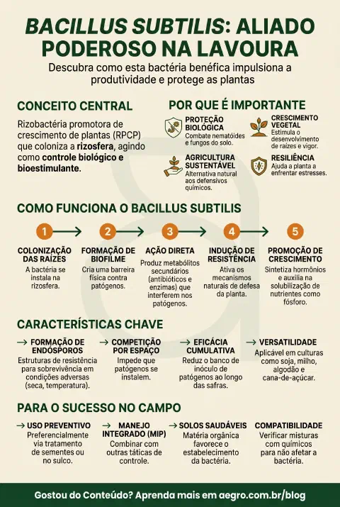 Infográfico educativo sobre Bacillus Subtilis
