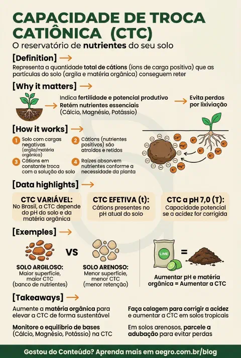 Infográfico educativo sobre Capacidade De Troca Catiônica