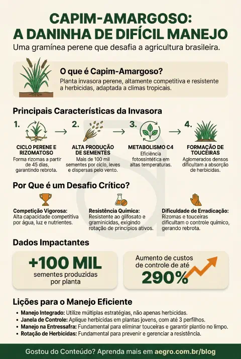 Infográfico educativo sobre capim-amargoso