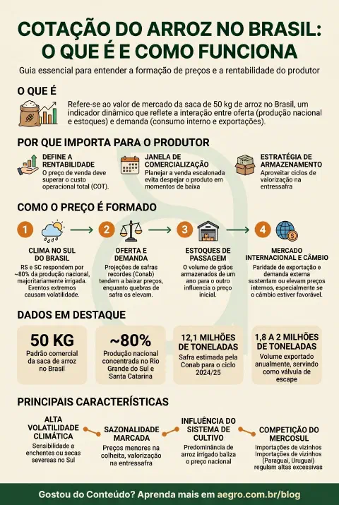 Infográfico educativo sobre Cotação Do Arroz