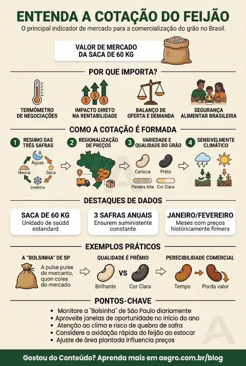 Infográfico educativo sobre Cotação Do Feijão