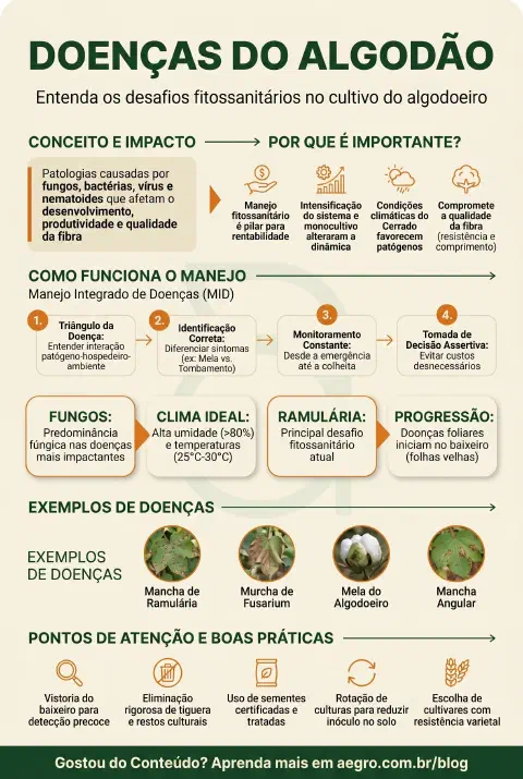 Infográfico educativo sobre Doenças Do Algodão