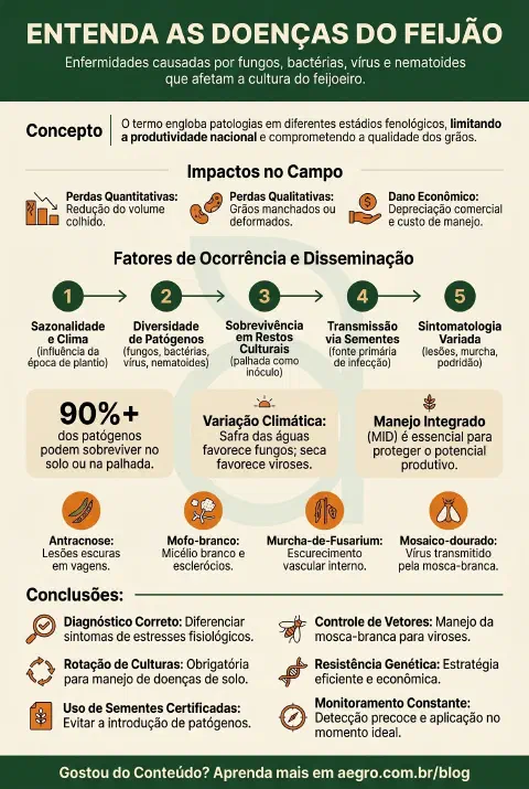 Infográfico educativo sobre Doenças Do Feijão