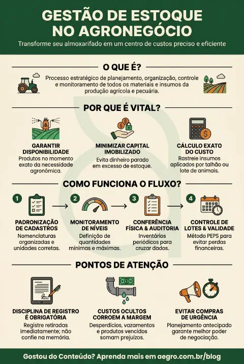 Infográfico educativo sobre Gestao De Estoque