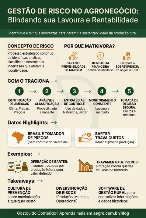 Infográfico educativo sobre Gestão De Risco No Agronegócio