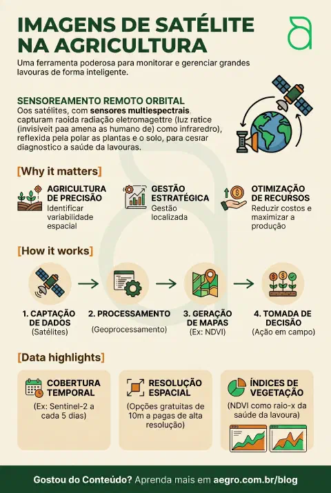 Infográfico educativo sobre Imagens De Satélite Na Agricultura