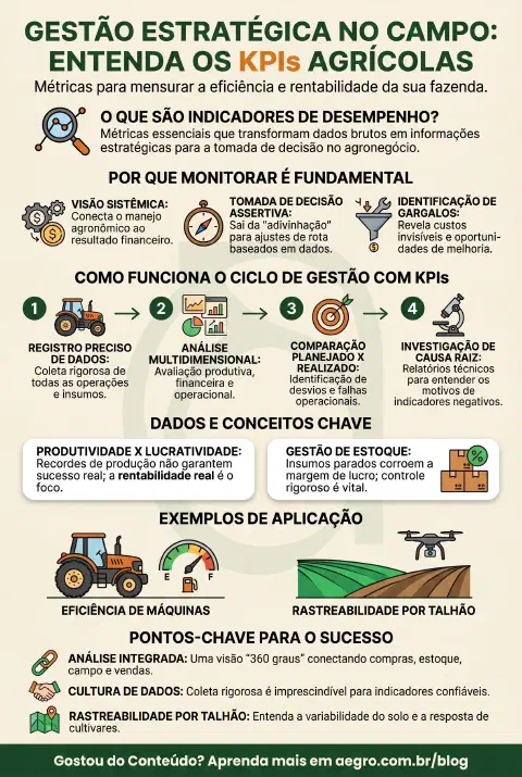 Infográfico educativo sobre Indicadores De Desempenho Agrícola