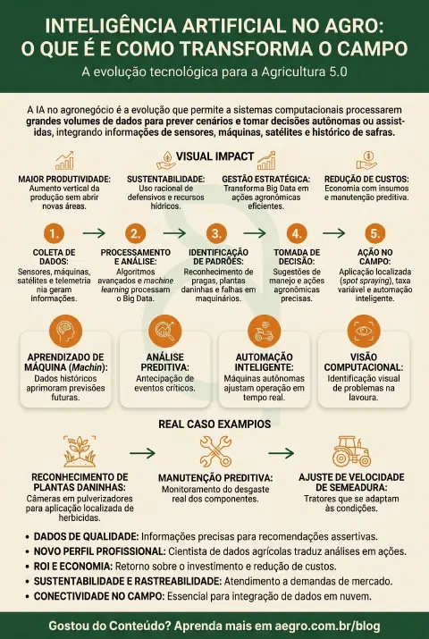 Infográfico educativo sobre Inteligência Artificial No Agro