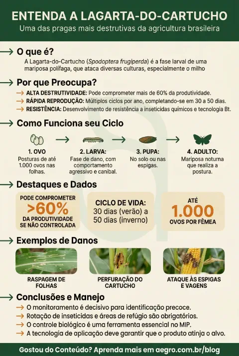 Infográfico educativo sobre Lagarta Do Cartucho