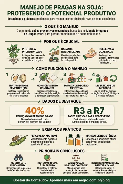 Infográfico educativo sobre Manejo De Pragas Na Soja