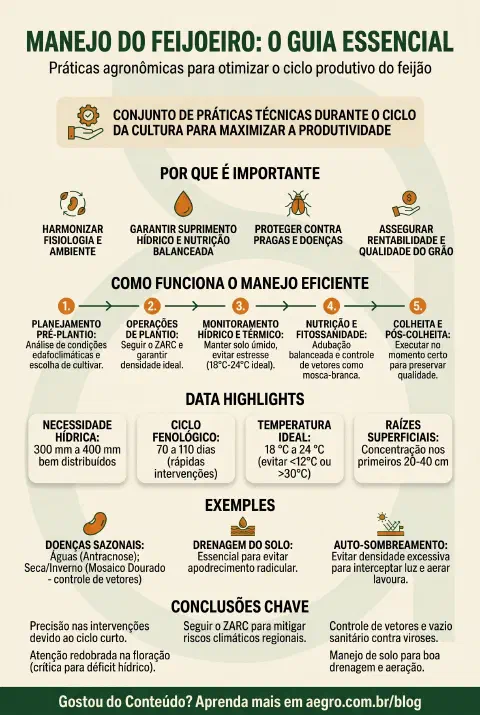 Infográfico educativo sobre Manejo Do Feijoeiro