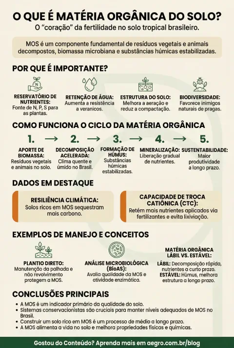 Infográfico educativo sobre Matéria Orgânica Do Solo