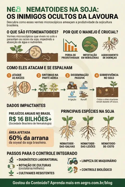 Infográfico educativo sobre Nematoides Na Soja