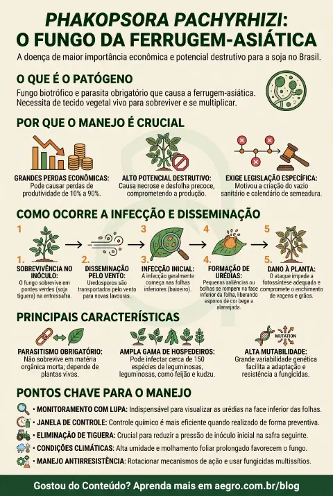 Infográfico educativo sobre Phakopsora Pachyrhizi