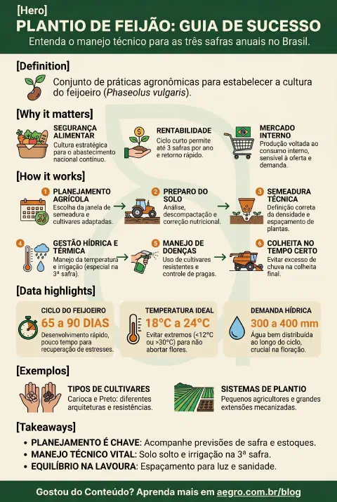 Infográfico educativo sobre Plantio De Feijão