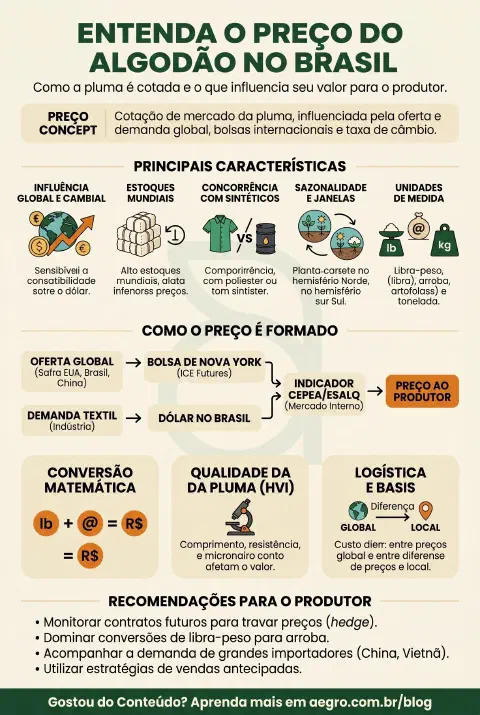 Infográfico educativo sobre Preço Do Algodão