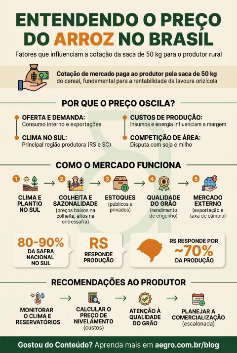 Infográfico educativo sobre Preço Do Arroz