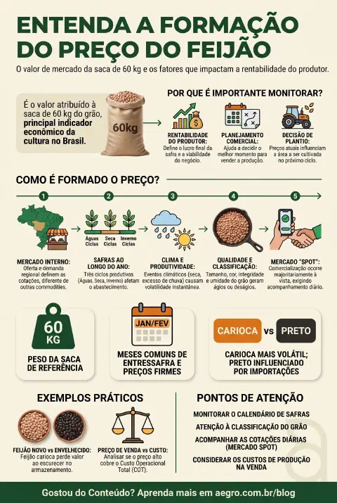 Infográfico educativo sobre Preço Do Feijão