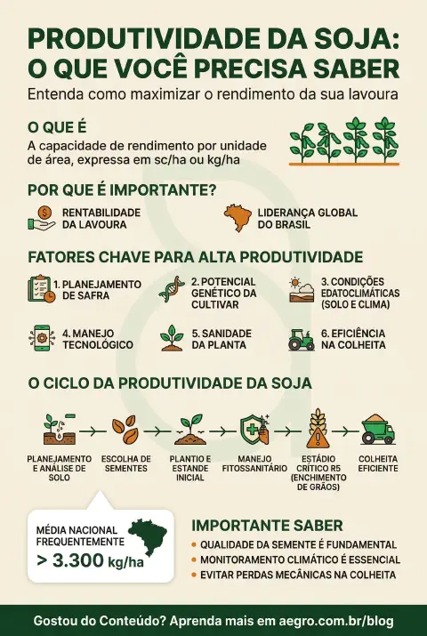 Infográfico educativo sobre Produtividade Da Soja