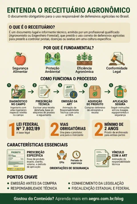 Infográfico educativo sobre Receituário Agronômico