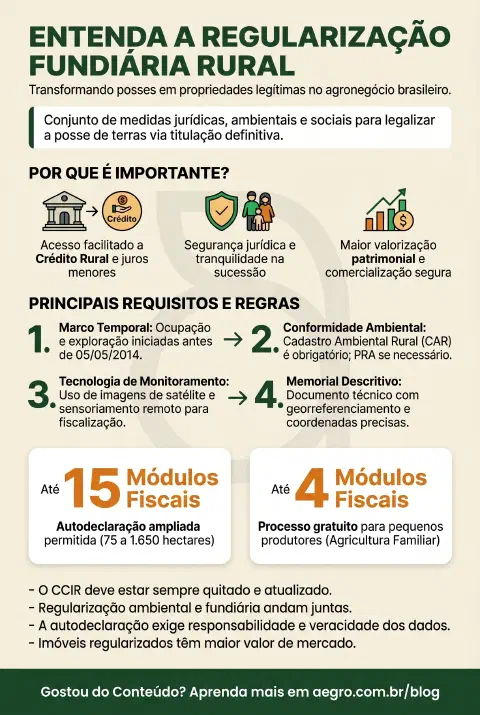 Infográfico educativo sobre Regularização Fundiária