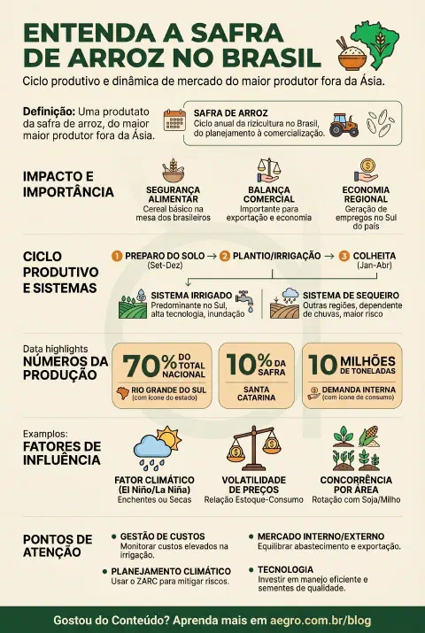 Infográfico educativo sobre Safra De Arroz