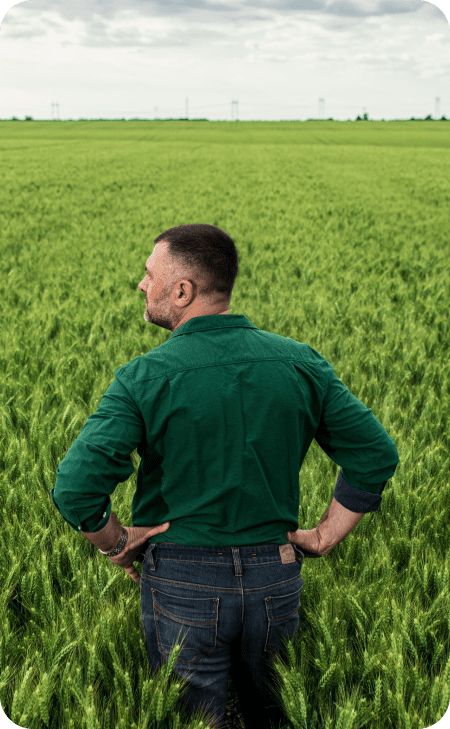 Homem de costas, de camisa verde, no meio da fazenda.