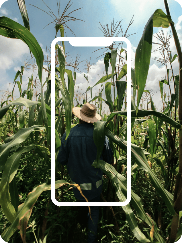 Imagem ilustrativa da gestão do campo, mostrando um produtor rural em sua colheita, com a sobreposição de um ícone branco de um celular, representando o aplicativo Aegro.